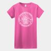Softstyle ® Ladies T Shirt Thumbnail