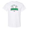 20 Shirts for $149 - Gildan  Thumbnail