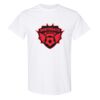 20 Shirts for $149 - Gildan  Thumbnail