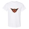 20 Shirts for $149 - Gildan  Thumbnail