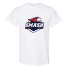 20 Shirts for $149 - Gildan  Thumbnail