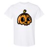 20 Shirts for $149 - Gildan  Thumbnail