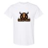 20 Shirts for $149 - Gildan  Thumbnail