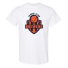 20 Shirts for $149 - Gildan  Thumbnail