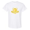 20 Shirts for $149 - Gildan  Thumbnail