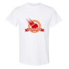 20 Shirts for $149 - Gildan  Thumbnail