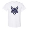 20 Shirts for $149 - Gildan  Thumbnail