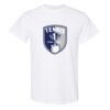 20 Shirts for $149 - Gildan  Thumbnail
