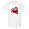 20 Shirts for $149 - Gildan  Thumbnail