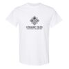 20 Shirts for $149 - Gildan  Thumbnail