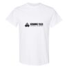 20 Shirts for $149 - Gildan  Thumbnail