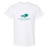 20 Shirts for $149 - Gildan  Thumbnail