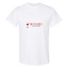 20 Shirts for $149 - Gildan  Thumbnail