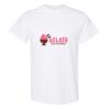 20 Shirts for $149 - Gildan  Thumbnail