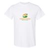 20 Shirts for $149 - Gildan  Thumbnail