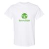 20 Shirts for $149 - Gildan  Thumbnail