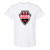 20 Shirts for $149 - Gildan  Thumbnail