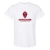20 Shirts for $149 - Gildan  Thumbnail