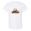 20 Shirts for $149 - Gildan  Thumbnail