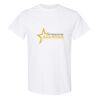 20 Shirts for $149 - Gildan  Thumbnail