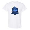 20 Shirts for $149 - Gildan  Thumbnail
