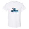 20 Shirts for $149 - Gildan  Thumbnail