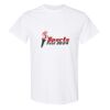20 Shirts for $149 - Gildan  Thumbnail