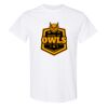 20 Shirts for $149 - Gildan  Thumbnail