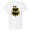 20 Shirts for $149 - Gildan  Thumbnail