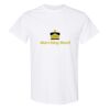 20 Shirts for $149 - Gildan  Thumbnail