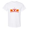 20 Shirts for $149 - Gildan  Thumbnail