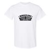 20 Shirts for $149 - Gildan  Thumbnail