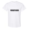 20 Shirts for $149 - Gildan  Thumbnail