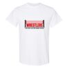 20 Shirts for $149 - Gildan  Thumbnail