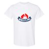 20 Shirts for $149 - Gildan  Thumbnail