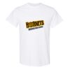 20 Shirts for $149 - Gildan  Thumbnail