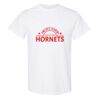 20 Shirts for $149 - Gildan  Thumbnail