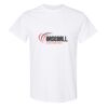 20 Shirts for $149 - Gildan  Thumbnail