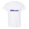 20 Shirts for $149 - Gildan  Thumbnail