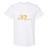 20 Shirts for $149 - Gildan  Thumbnail