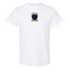 20 Shirts for $149 - Gildan  Thumbnail