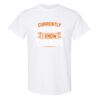 20 Shirts for $149 - Gildan  Thumbnail