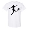 20 Shirts for $149 - Gildan  Thumbnail