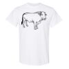 20 Shirts for $149 - Gildan  Thumbnail
