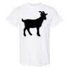 20 Shirts for $149 - Gildan  Thumbnail