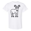 20 Shirts for $149 - Gildan  Thumbnail