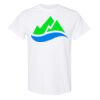 20 Shirts for $149 - Gildan  Thumbnail