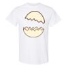 20 Shirts for $149 - Gildan  Thumbnail