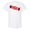 20 Shirts for $149 - Gildan  Thumbnail