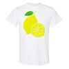 20 Shirts for $149 - Gildan  Thumbnail